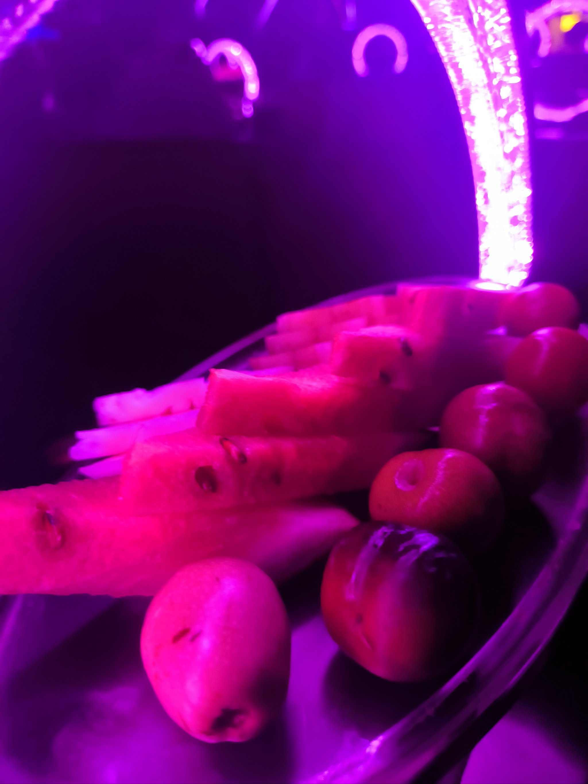 辽源商务ktv商务ktv能否组局解析-东丰县ktv预订